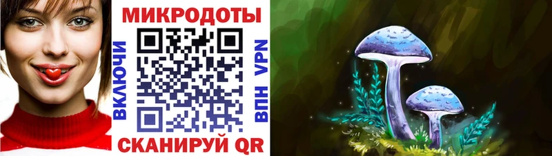 Псилоцибиновые грибы мухоморы  купить наркотик  Приморско-Ахтарск 
